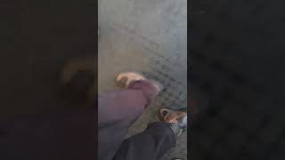 Deliveroo Rider Of Illegal Ebike Obstinately And Gormlessly Parks Body In Front Of My Order