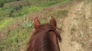 San Timoteo Canyon Trail Ride Redlands, CA Gonna