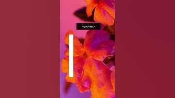 Unlocking Your Potential #shorts  #intro #motivationalquotes