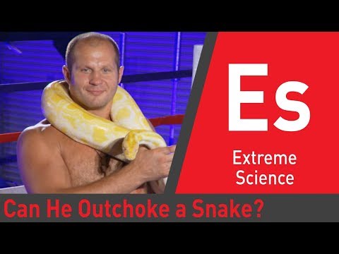 MMA Fighter Vs Killer Snake | Sport Science