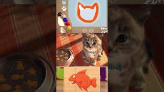 LEARNING CARTOON FOR KIDS EDUCATION FOR LITTLE KITTEN AND TODDLERS