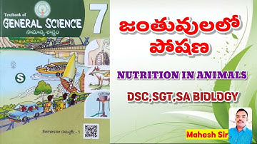 Class 7 Chapter 2 NUTRITION IN ANIMALS (జంతువుల్లో పోషణ)|| TET,DSC,SGT,SA BIOLOGY 