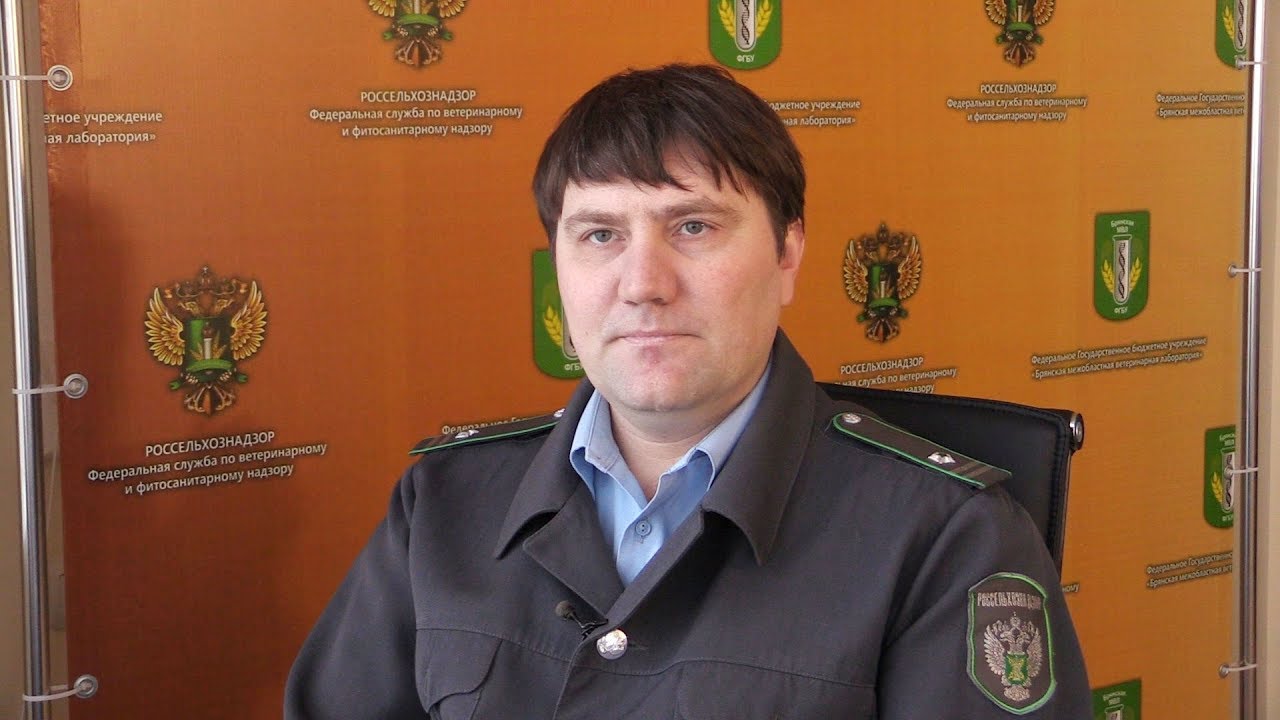 россельхознадзор по брянской и смоленской. управление россельхознадзора по брянской смоленской и калужской. россельхознадзор калуга. управление россельхознадзора по брянской смоленской и калужской. земченкова светлана александровна россельхознадзор.