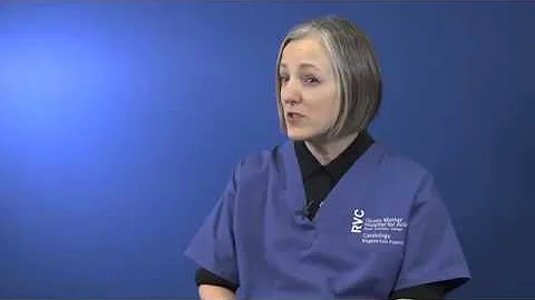 Common heart disease in cats (1/4) - Different types of heart disease