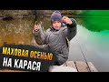 Маховая удочка осенью. Как же хорошо работает моя ЛЮБИМАЯ двухметровочка