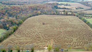 Farmer Closes Award-Winning Virginia Corn Mazes After Confrontation With Visitors