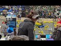 11227 Goose Goose Duck - Match 10 - Q52 - Loss - Final Score [288:311]