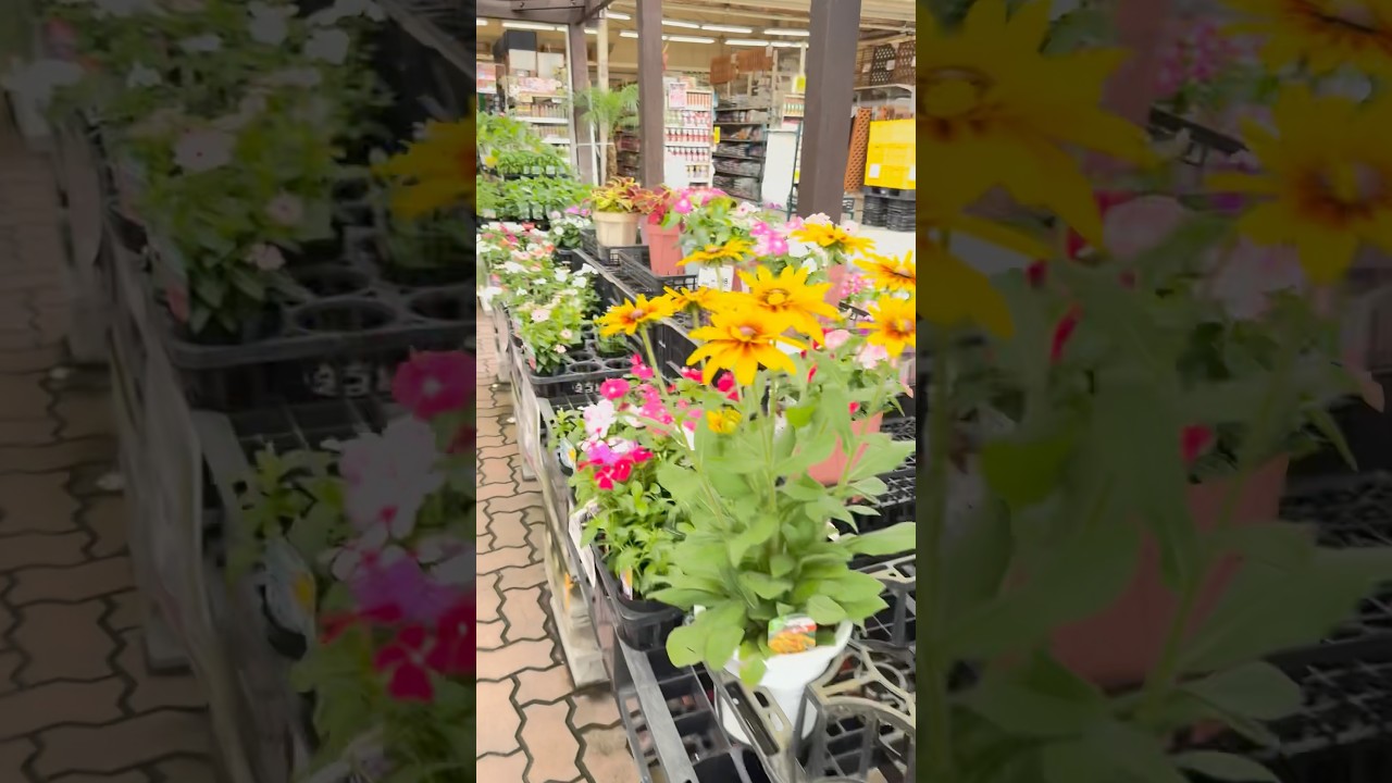 #shortvideo #flowers #shopping #youtube