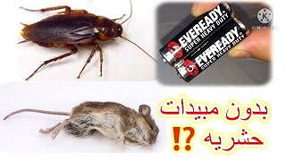 حجر البطاريه هو الحل السحري للتخلص من الصراصير والفئران للأبد✅بدون مبيدات حشريه ⁉️