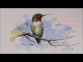 How to paint a Ruby-Throated Hummingbird in Watercolour. Easy to follow and fun to paint.