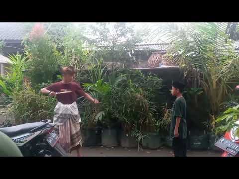 PESULAP MERAH KETAR