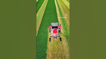 去年の夏からのちょっとした予告。待ちきれない。#daily #farm #ag #love #family