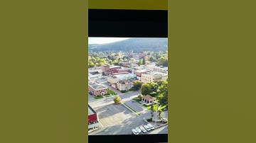 Bird attacks my drone sweet close-up