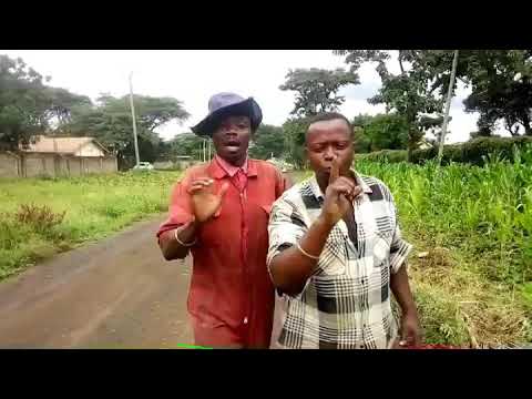 ZULI COMEDY MPOGORO ANA UREFU WA FUTI 64 HAKUNA KIONGOZ MFUPI KISHARII NA MLEU
