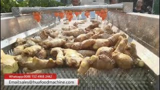 Ginger Washing Cleaning Machine With Linear Roller Brush