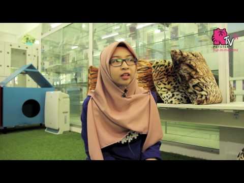 Video: Malayziya 'Cəhənnəmdən Pet Hotel' üzərində Həbsxana çağırışı