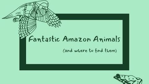 [Accepted] Fantastic Amazon Animals and Where to Find Them | WWDC21 Swift Student Challenge