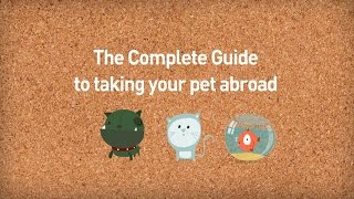 The Complete Guide to travelling with your pet