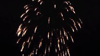 BEAUTIFUL GOLD WATERFALL FIREWORK SHELL, NISHIKI KAMURO, WILLOW