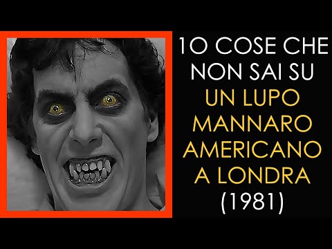 10 COSE CHE NON SAI SU UN LUPO MANNARO AMERICANO A LONDRA -1981 - THE VNTG NETWORK