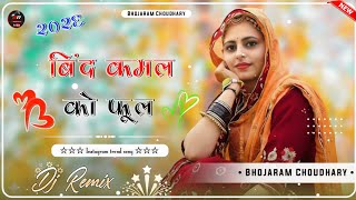 Aau Abke Sava Pe Parnij Ba Bani New Rajasthani DJ Remix Song 2026
