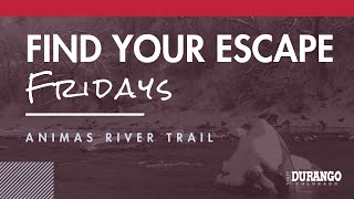 Animas River Trail in Winter | Find Your Escape Fridays | Visit Durango