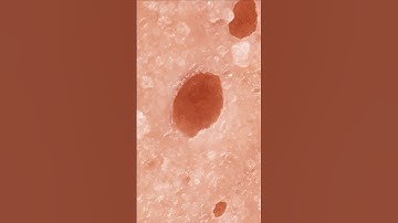 Can you guess this macro photography? Ep.380 #challenge #macrophotography