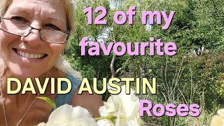 12 of my favourite David Austin roses from my English rose garden