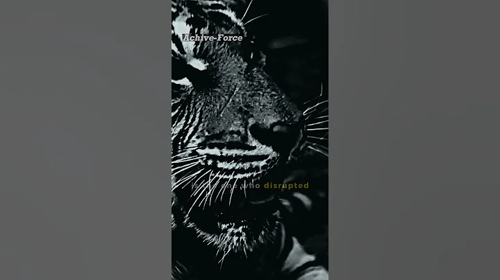 🙏❤ Navigating Life's Disruptions:The Tranquil Animal Kingdom Parable#motivational #shorts