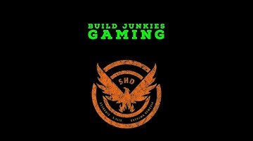 The Division 2 - Polarity Switch ND Build