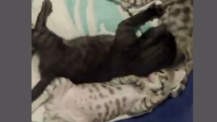 Watch the video about Lagi bobok ya sayang 😁