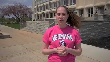 Choosing Neumann University
