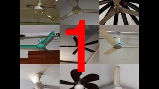 My ceiling fan sightings 1