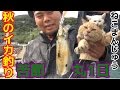 #2 離島でエギングとジギング！アオリイカを狙う