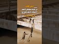 ليس كل من حولك سيضحي لأجلك الصديق الوفي فقط هو من يفعل ذلك
