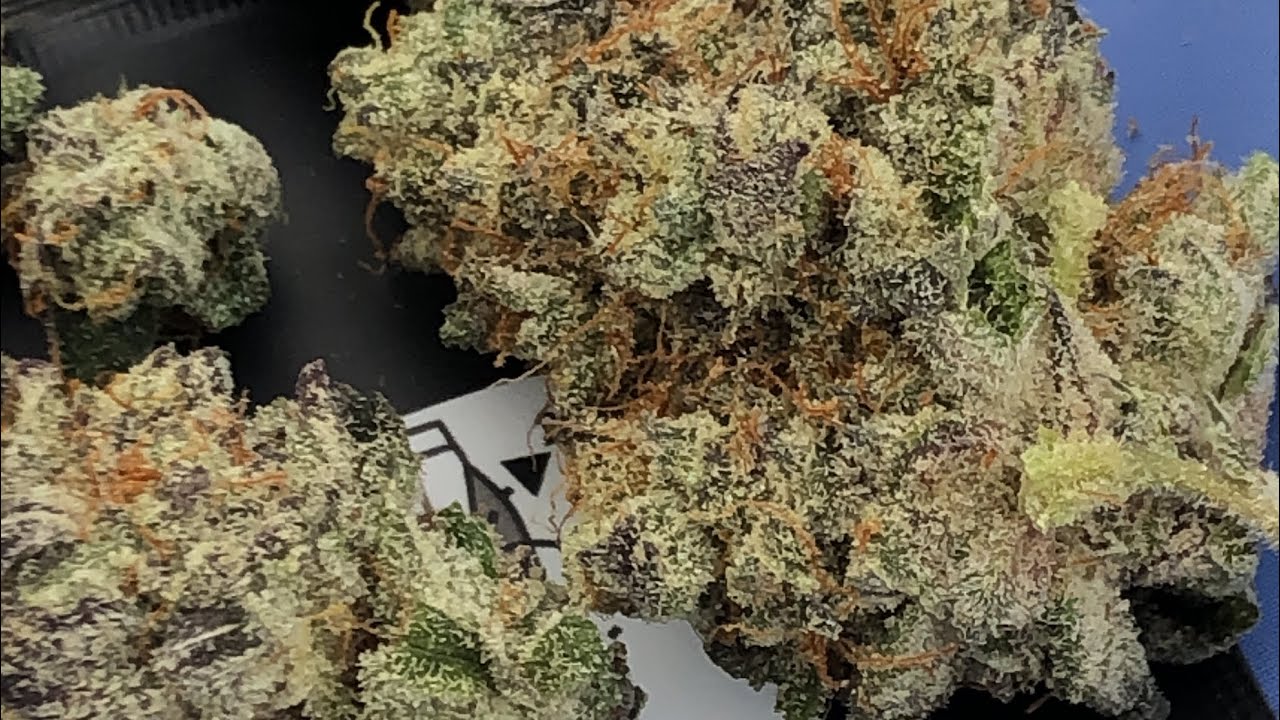 ZkittlezCake x Gelato 33 by G Farms (Strain Review #94) (UK)