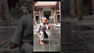 Little Monk Shaolin Kung Fu #Fitness Tai Chi #Shaolin Temple #少林寺 #少林功夫