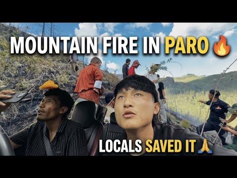 Fire on mountain in paro we went there to help | Thank You To The Local Heroes 🙏