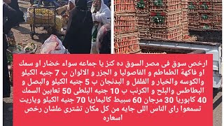 ارخص سوق فى مصر السوق ده كنز يا جماعه سواء خضار او سمك او فاكهة