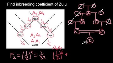 Practice problem: How to Find Inbreeding Coefficient