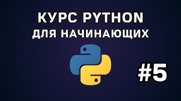 Курс Python для начинающих. Уроки с нуля. #5 - Команда input