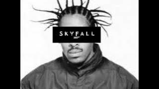 Coolio - Gangsta's Paradise vs. Adele - Skyfall (mashup)