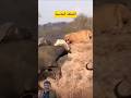 اللحظة الصادمة عندما يكسر الضحية حاجز الخوف 