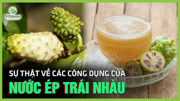 SỰ THẬT VỀ CÁC CÔNG DỤNG CỦA NƯỚC ÉP TRÁI NHÀU - THẦN DƯỢC CHO SỨC KHỎE? | Vitalnoni.com