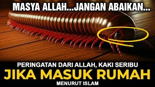 SUNGGUH NGERI  !! Ini 10 Pertanda Jika Ada Kaki Seribu Masuk Rumah Menurut Islam