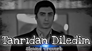 Kurtlar vadisi Tanrıdan diledim (slowed+reverb) Resimi