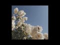 [FREE] keshi x daniel caesar r&amp;b type beat - 'simple love'