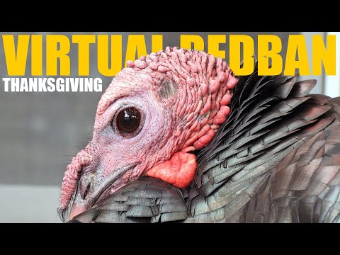 VIRTUAL REDBAN - THANKSGIVING