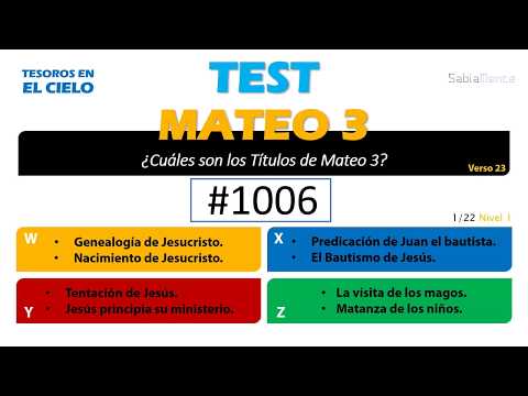 22 Preguntas MATEO
