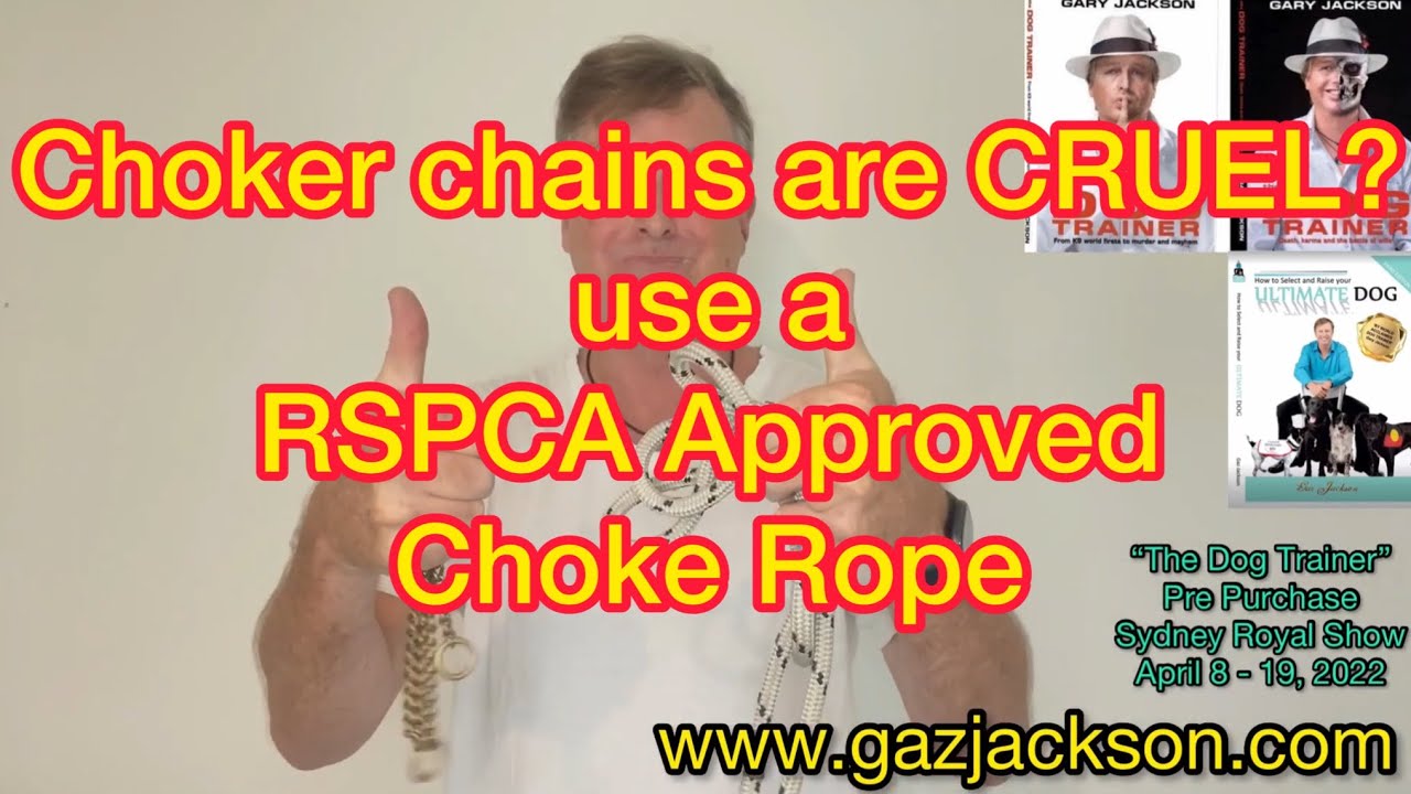 EP 113. Choker chains are cruel? Use a RSPCA approved CHOKE ROPE YouTube